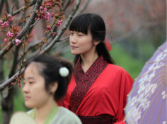 南京大学生穿古装走进杏花村赏春