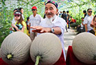 新疆哈密瓜节开幕