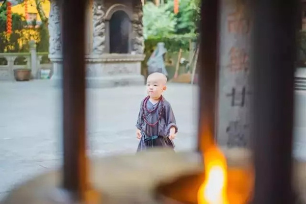 灵隐寺最萌小和尚 年仅两岁 上香打坐有模有样