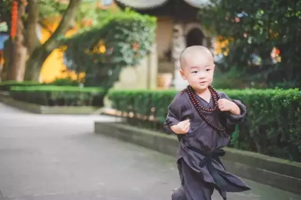 灵隐寺最萌小和尚 年仅两岁 上香打坐有模有样