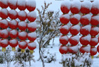 金秋哈密降大雪