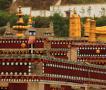 宗喀巴大师的诞生地塔尔寺 十万狮子吼佛像的殊胜加持