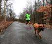 美国一只狗偷偷溜进马拉松 完成比赛并混到名次