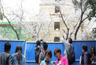 武汉大学主要赏樱区域被封