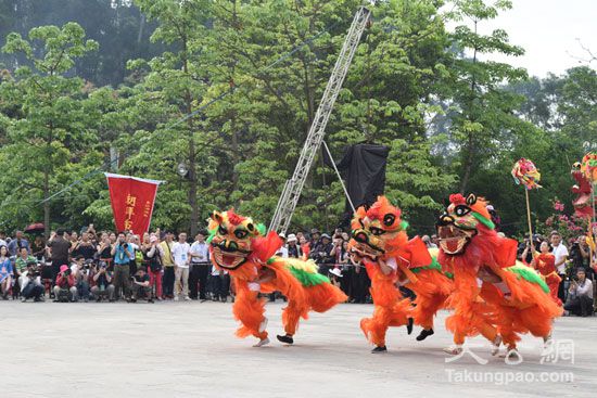 田阳县有多少人口_特困户“消失”人口普查寻求田阳供电局找人(图)