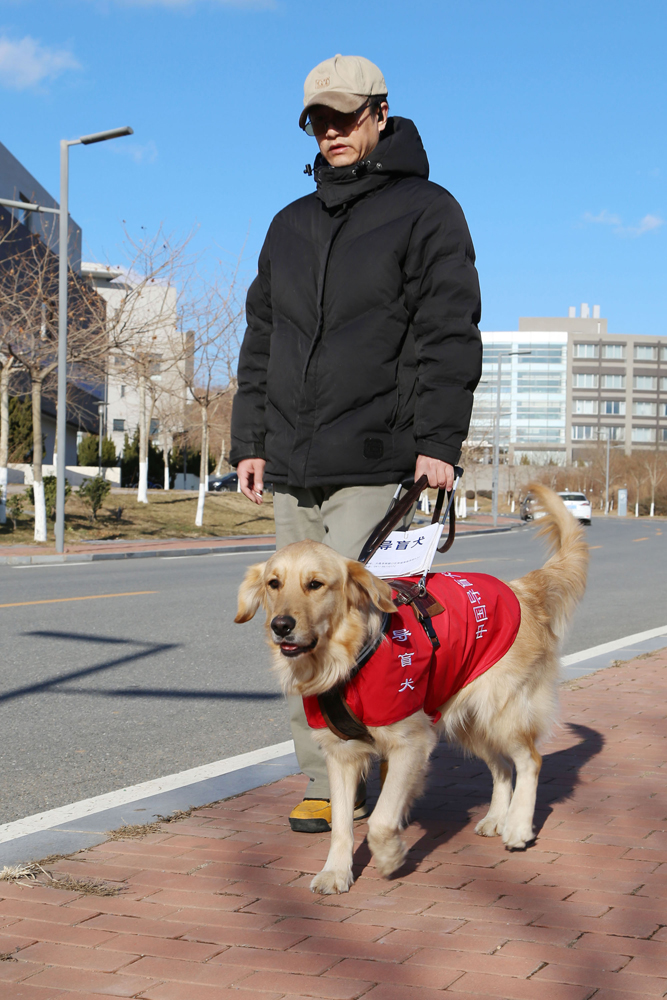 导盲犬基地义助视障人士