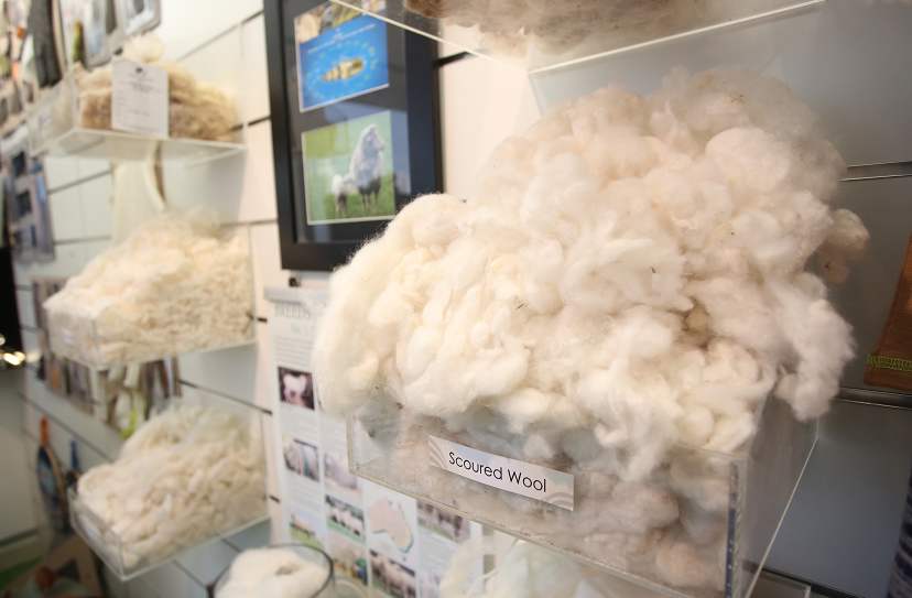 澳大利亚美丽诺羊毛种类分为超细,中等及高强度三种.(资料图片)