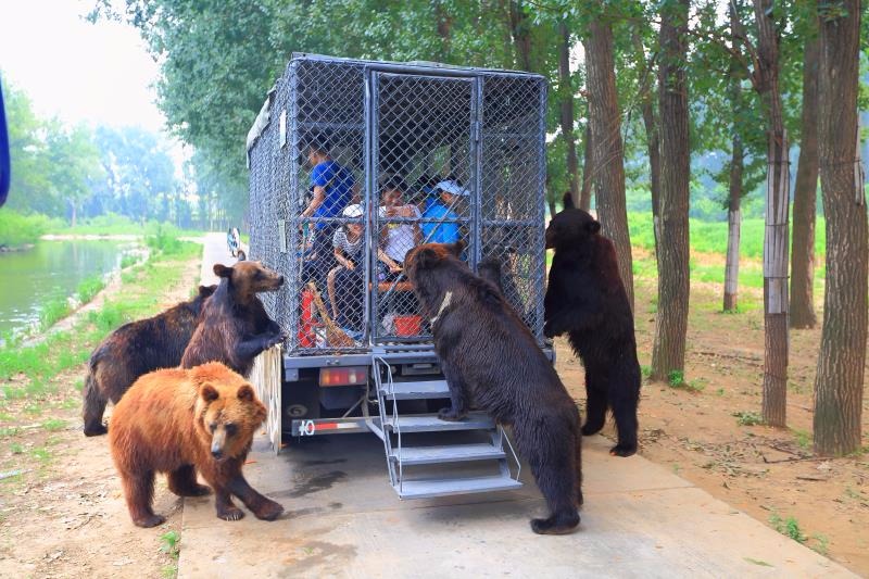 五一假期 北京大兴野生动物园日迎客超三万