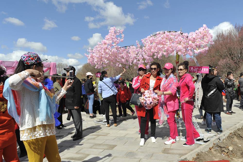 8日,黑龙江密山市第六届杏花旅游文化节在兴凯湖畔"十里杏花"景区开幕