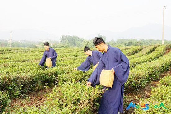 神仙也贵茶：道教与茶文化_大公道教_大公网