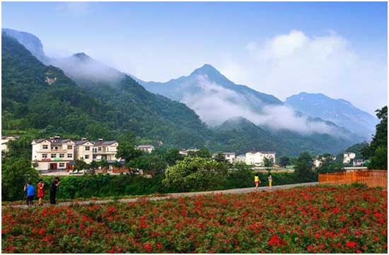 八月赴河南栾川旅游 自驾车免高速过路费